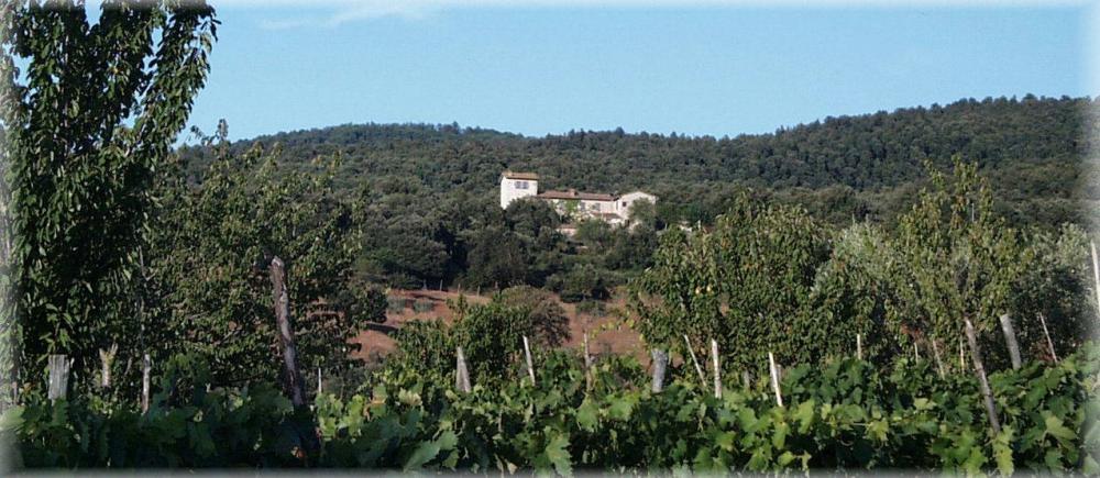 scorcio dell'Agriturismo Torre Doganiera ripreso dal fondo valle 