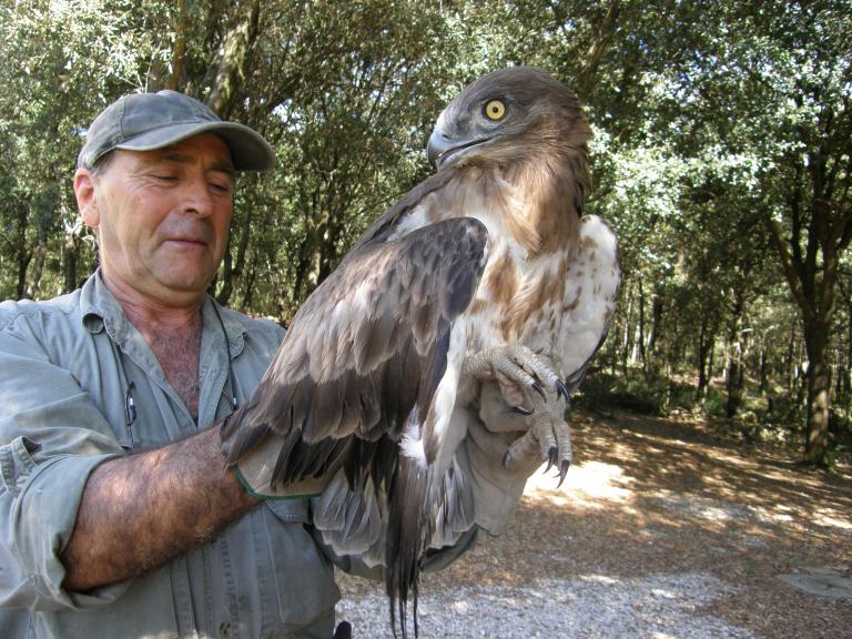 Andrea Cucini ed un pullo di Biancone (localmente appellato affettuosamente dai locali 'Aquila della Montagnola')