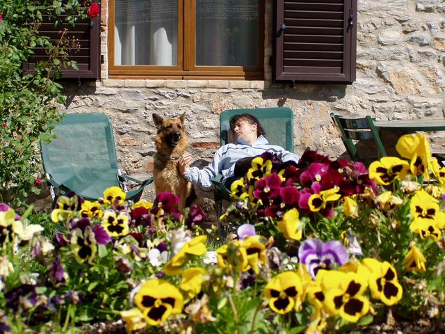 villeggiante con il proprio cane a prendere il sole