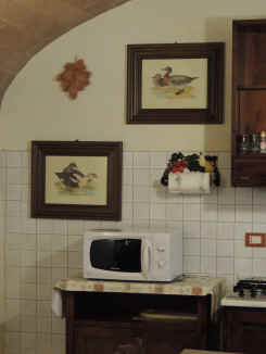 il forno a microonde