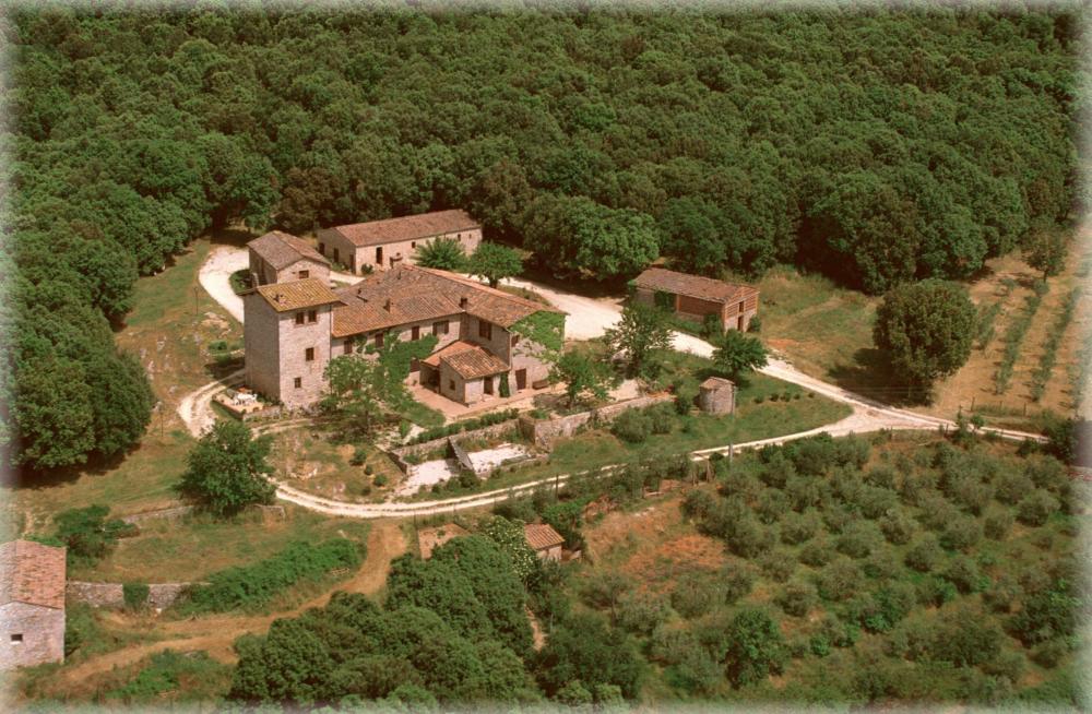 vista aerea del complesso tra bosco ed oliveta