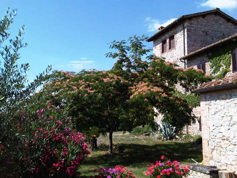 Vista esterna dell'appartamento Ulivi con l'Acaccia di Costantinopoli in fiore